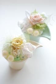 �v���U�[�u�h�t�����[�̃c�C���~�j�A�����W�����g