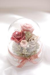 �v���U�[�u�h�t�����[�̃h�[���A�����W�����g