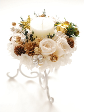 �����v���U�[�u�h�t�����[�̃L�����h���A�����W�����g